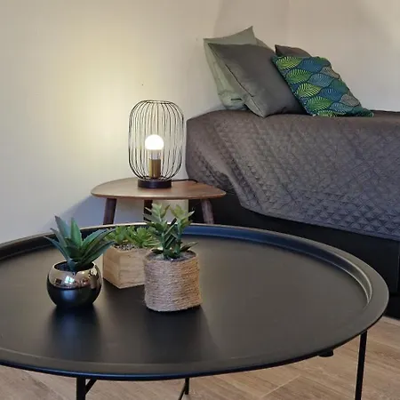 Le Petit Jungle - Hyper Centre - Wifi Appartement *