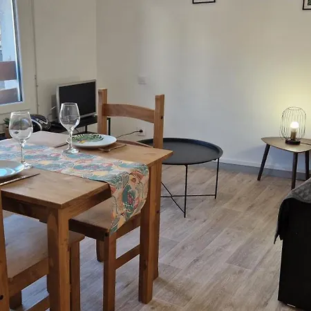 Le Petit Jungle - Hyper Centre - Wifi Appartement