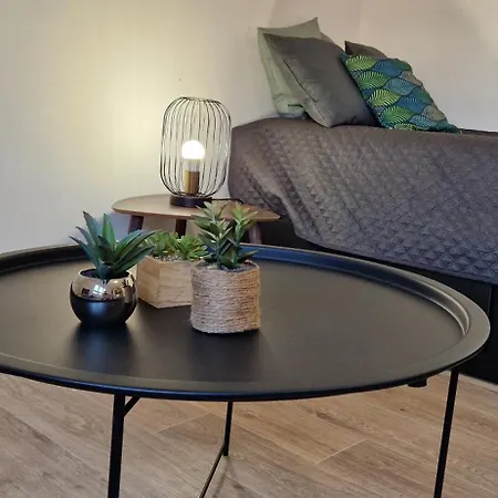 Le Petit Jungle - Hyper Centre - Wifi Appartement Mont-de-Marsan