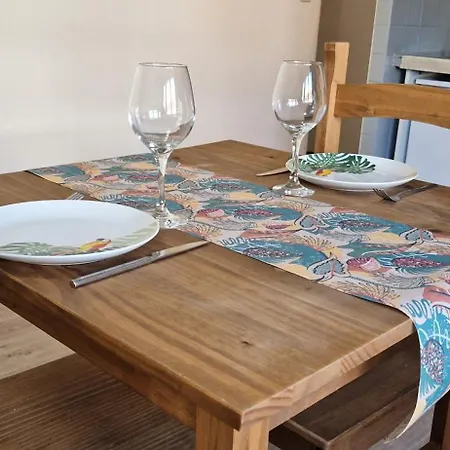 Appartement Le Petit Jungle - Hyper Centre - Wifi Mont-de-Marsan