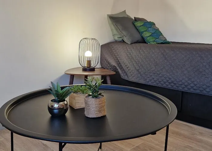 Le Petit Jungle - Hyper Centre - Wifi 아파트 *