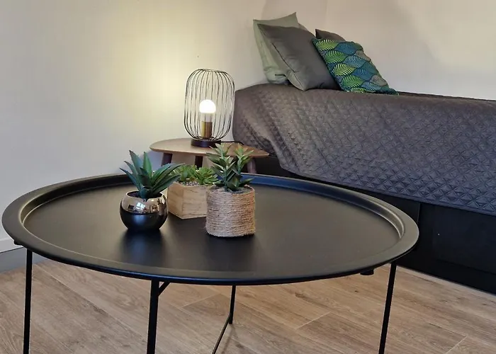 Le Petit Jungle - Hyper Centre - Wifi 아파트 몽트드마르장