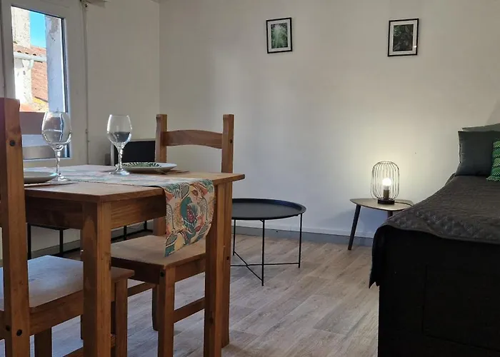 Le Petit Jungle - Hyper Centre - Wifi *